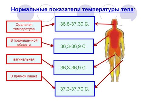 Влияние температуры тела на организм
