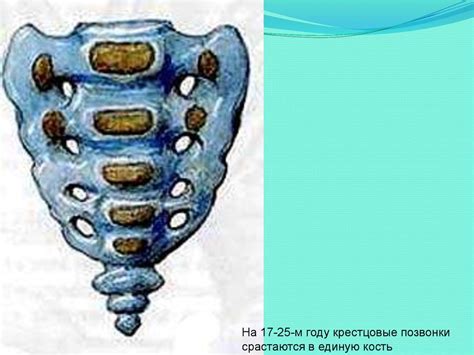 Влияние туловища на баланс и координацию