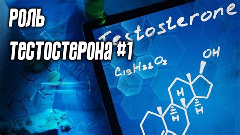 Влияние уровня тестостерона