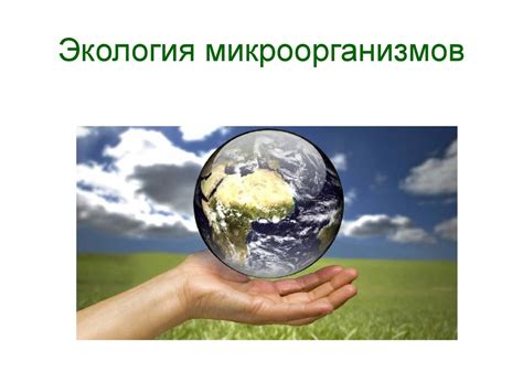 Влияние условий окружающей среды на вычисление числа молей