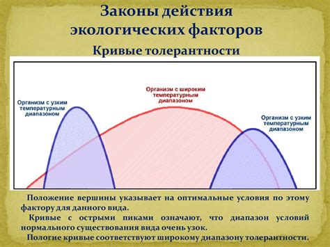 Влияние факторов на точность предсказаний