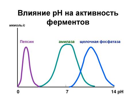 Влияние ферментов на пропадание сока