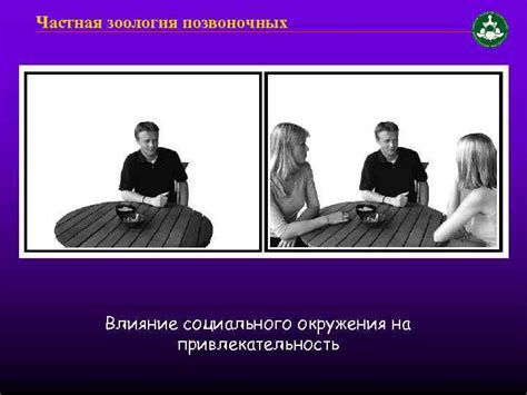 Влияние фигуры на привлекательность