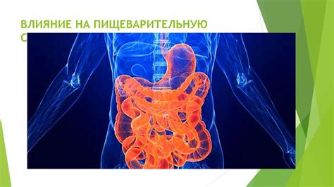 Влияние фикуса на пищеварительную систему