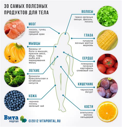 Влияние фреона на здоровье человека