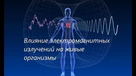 Влияние частоты кроводачи на здоровье