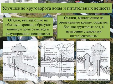 Влияние этажей на экологию и городскую среду