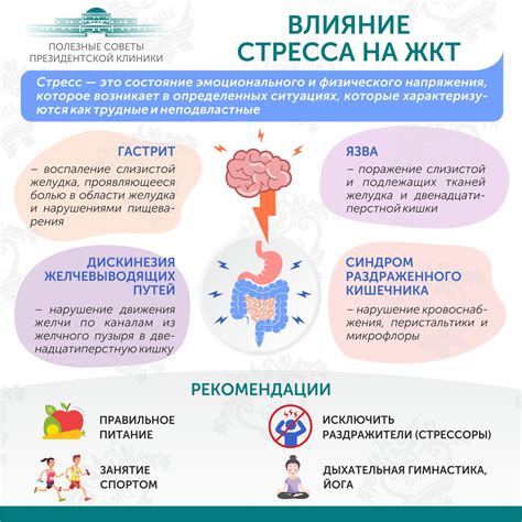 Влияние яблок после обеда на пищеварение