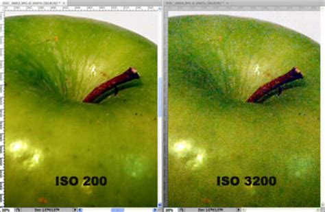 Влияние ISO на качество изображения на Nikon D3100