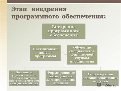 Внедрение специализированного программного обеспечения