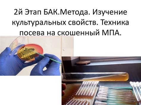 Внесение культуральных практик