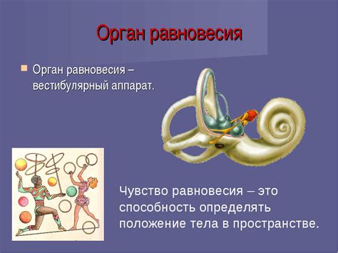 Внешние причины ослабления вестибулярного аппарата