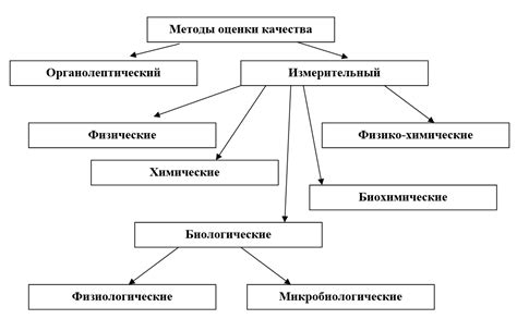 Внешний осмотр и оценка качества