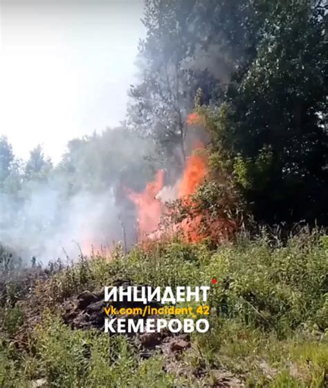 Внутренний символический смысл сна о горящем лесе