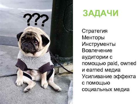 Вовлечение аудитории с помощью контестов и акций