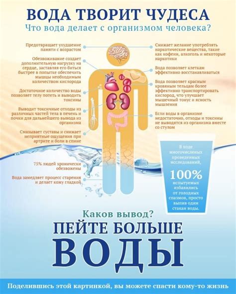 Вода из холодильника: влияние на организм