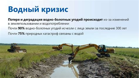 Вода и болота: взаимосвязь и проблемы