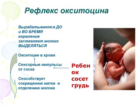 Вода и грудное вскармливание: взаимосвязь