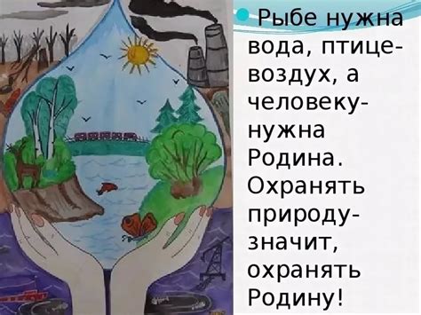 Вода и экосистемы планеты