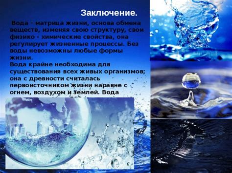 Вода как основа существования