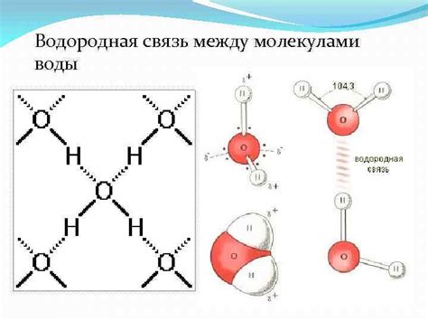 Водородная связь и ее роль в химических реакциях