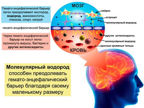 Возбуждающий эффект на центральную нервную систему