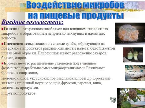 Воздействие влаги и гниение материалов