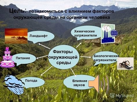 Воздействие камышовых зарослей на биоразнообразие