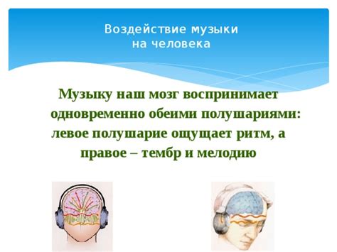 Воздействие музыки и звуков на мозг