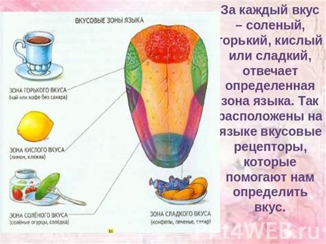 Воздействие на рецепторы вкуса