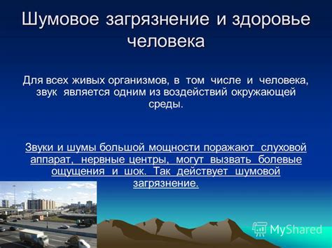 Воздействие окружающей среды и шумы