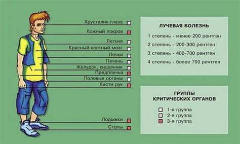 Воздействие рентгеновского излучения на организм