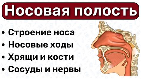 Воздействие холодом на нос ребенка