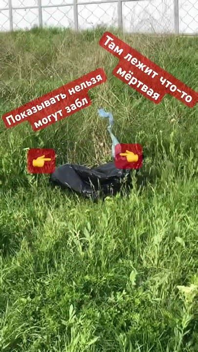 Возле угла пакета