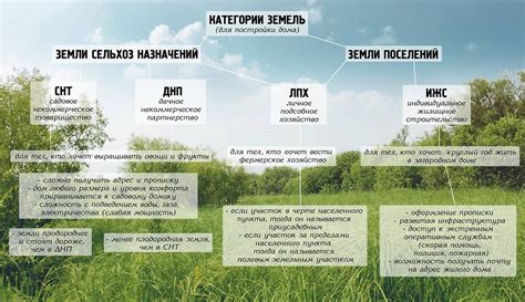 Возможности использования пайев земли