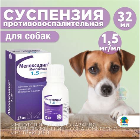 Возможности применения флоксала для собак