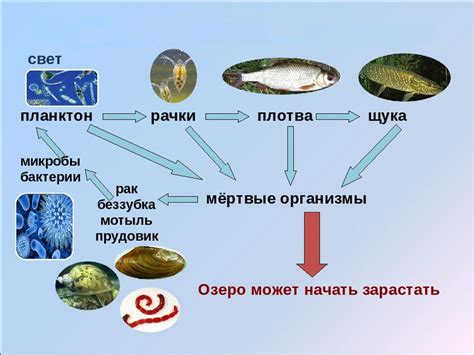 Возможность нарушить экосистему озера