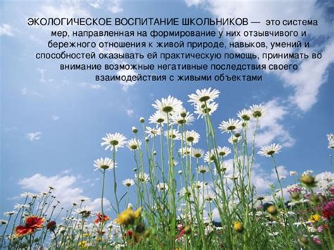 Возможные негативные последствия обещаний лука