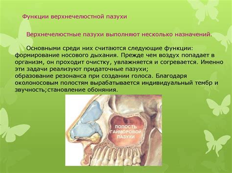 Возможные осложнения и их предотвращение