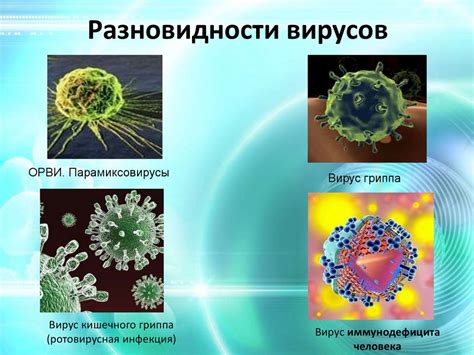 Возможные последствия вирусных инфекций вне экспериментальной среды