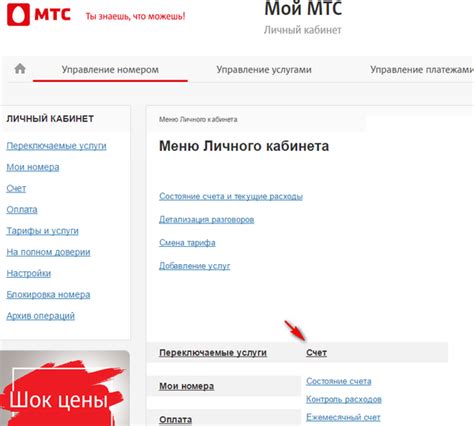 Возможные причины неполадок в личном кабинете МТС