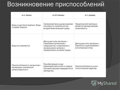 Возникновение приспособлений в природе