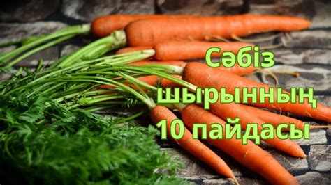 Возрастные ограничения при введении морковного сока