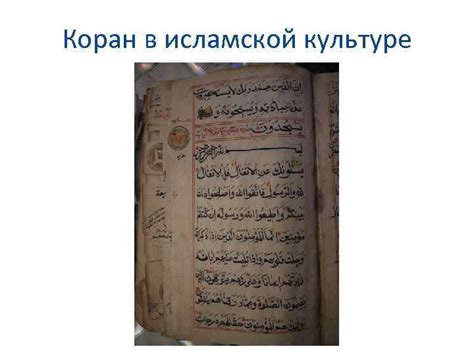 Вороны в исламской культуре