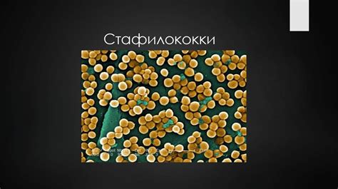 Воспалительные инфекции: