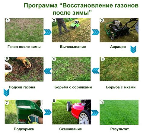 Восстановление плотности газона