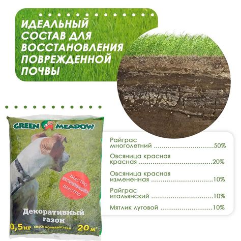 Восстановление поврежденных участков газона