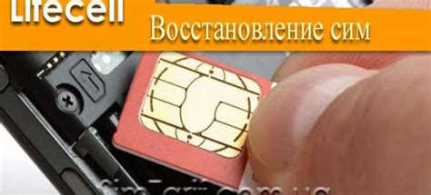 Восстановление удаленного номера телефона: полезные советы и инструкция