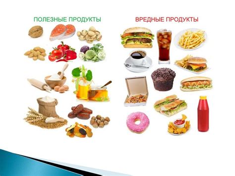 Вредные продукты для хомяков