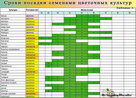 Время посева и посадки цветов